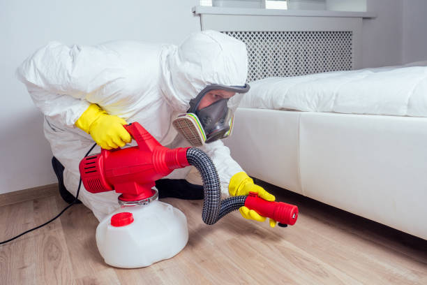 Best Termite Control Services  in Bothell East, WA